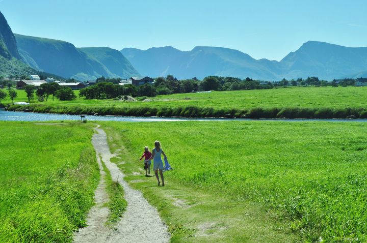 38086043_10156263745660617_8657926359542136832_n